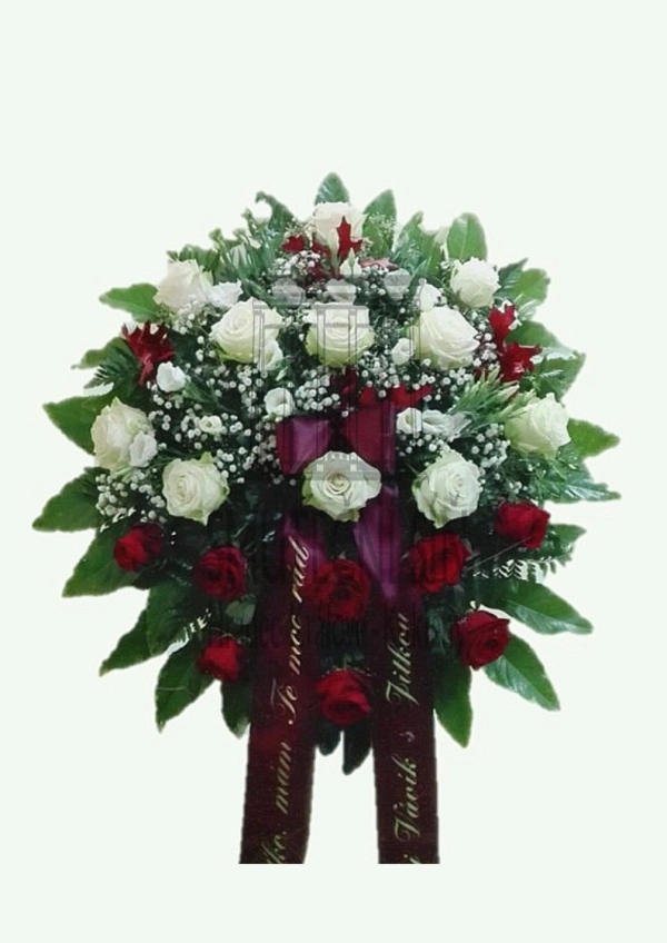 624febd6d9dce.webp