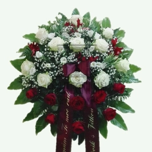624febd6d9dce.webp