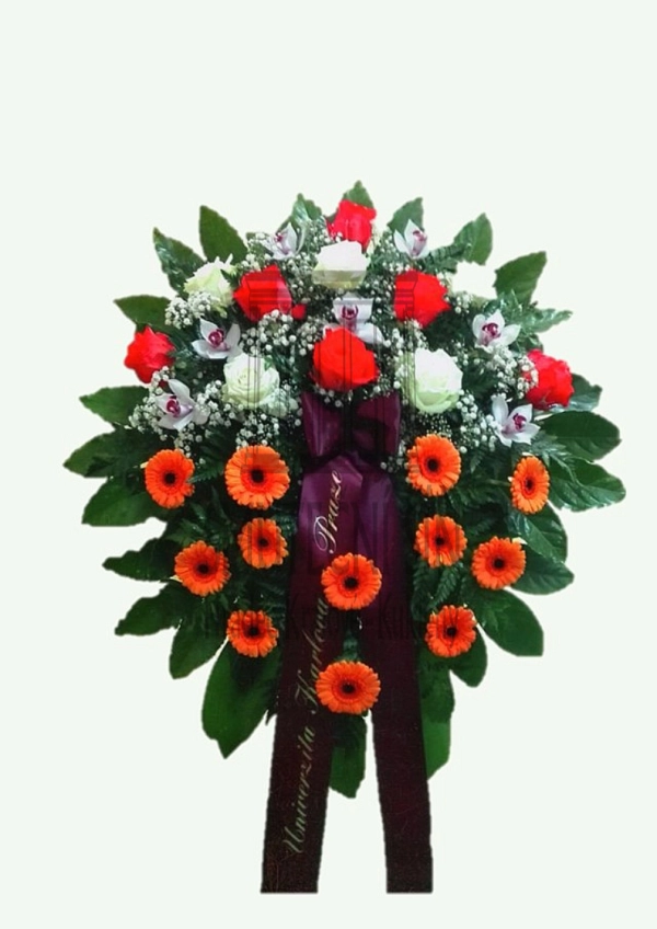 624fec44a5500.webp