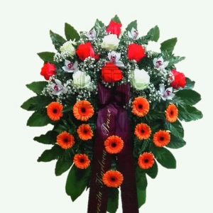 624fec44a5500.webp