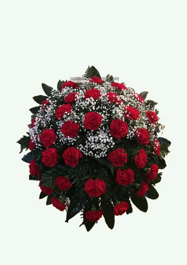 624fee7a6ec4d.webp