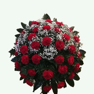 624fee7a6ec4d.webp