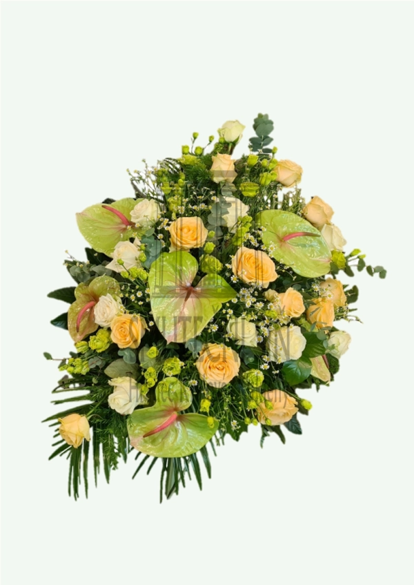 624fefce8b982.webp