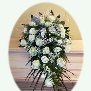 624ff0297fd78.webp