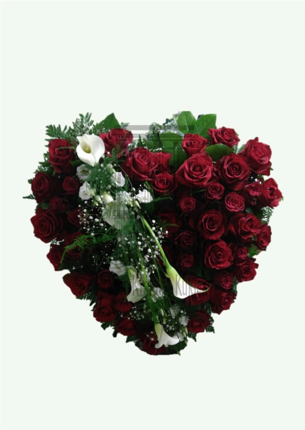 624ff0c87b423.webp