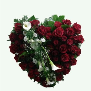 624ff0c87b423.webp
