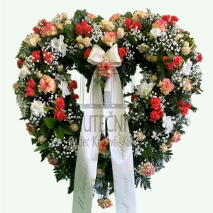 624ff17221718.webp