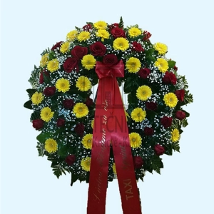 624ff2332783f.webp