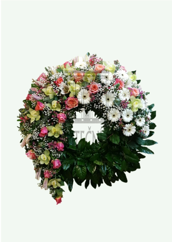 624ff2a4498f3.webp