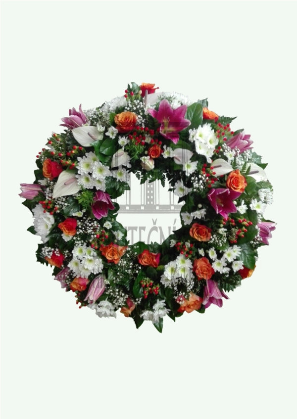 624ff2c94959b.webp