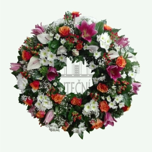 624ff2c94959b.webp