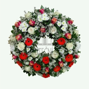 624ff2e966ec4.webp