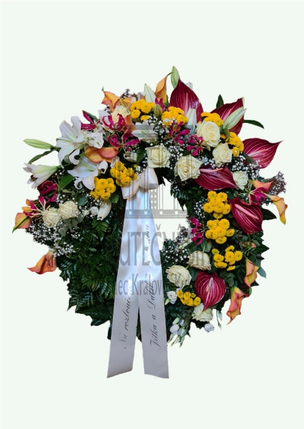 624ff3117cd1f.webp