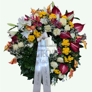 624ff3117cd1f.webp